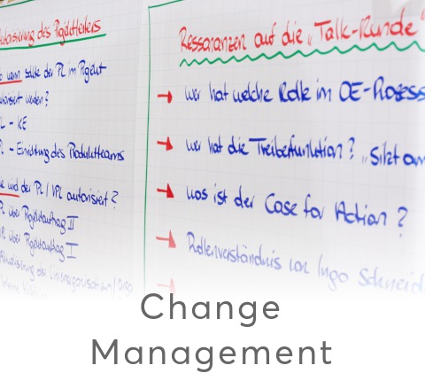 DIERSSEN - IHR PROJEKTREALISIERER - Agiles Projektmanagement - Change Management